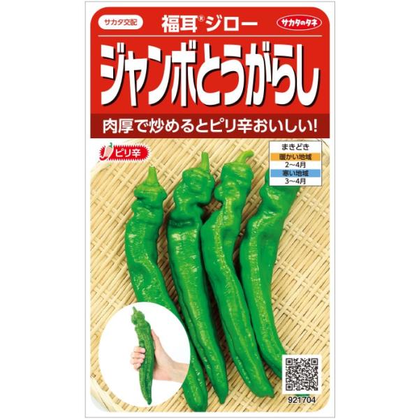 野菜種子 ジャンボトウガラシ「福耳ジロー」 0.5ml（サカタのタネ）【送料込み】 唐辛子 とうがら...