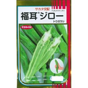 野菜種子 ジャンボトウガラシ「福耳ジロー」 500粒（サカタのタネ）【送料込み】 唐辛子 とうがらし...