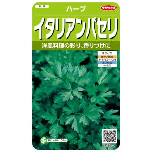 ハーブ種子「イタリアンパセリ」 1.8ml（サカタのタネ）【送料込み】 フラットリーフパセリ オランダゼリ フレンチパセリ