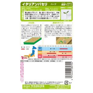 ハーブ種子「イタリアンパセリ」 1.8ml(サ...の詳細画像1