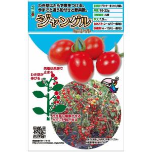 野菜種子 新タイプミニトマト「ジャングル」 8粒...の商品画像