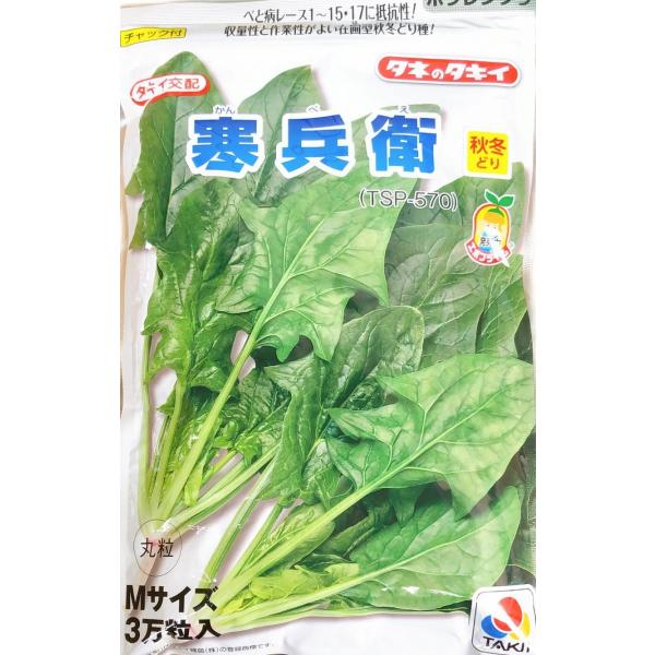 野菜種子 ホウレンソウ「寒兵衛」 М30,000粒（タキイ種苗）【送料込み】 かんべえ カンベエ 法...