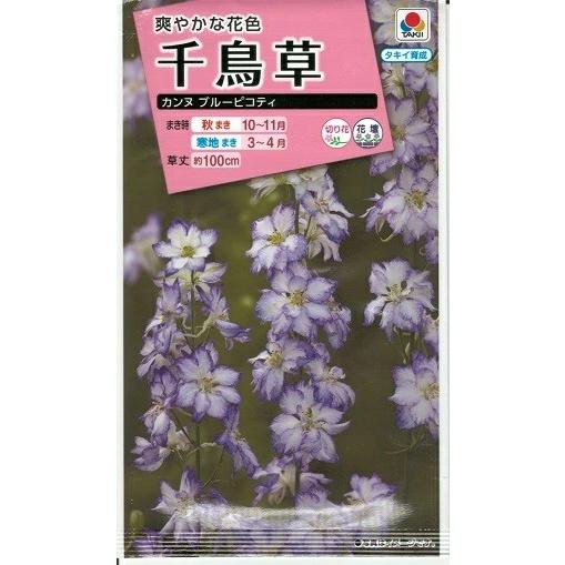 花種子 千鳥草「カンヌ ブルーピコティー」 0.5ml（タキイ種苗）【送料込み】 ちどりそう チドリ...