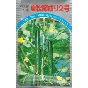 野菜種子 キュウリ「夏秋節成り2号」 20ml(...の商品画像