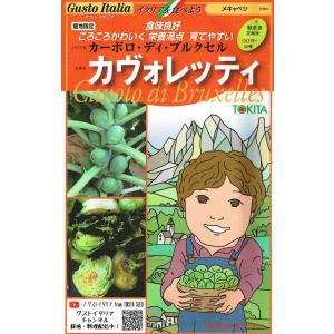 野菜種子 メキャベツ「カヴォレッティ」 50粒（トキタ種苗）【送料込み】 芽キャベツ 甘藍 きゃべつ カーボロ・ディ・プルクセル カボレッティ
