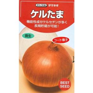 野菜種子 タマネギ「ケルたま」 2Lペレット500粒（タキイ種苗）【送料