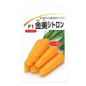 野菜種子 ニンジン「金美シトロン」 ペレット1,000粒（ヴィルモランみかど）【送料込み】 野菜 や...