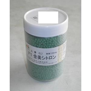 野菜種子 ニンジン「金美シトロン」 ペレット10,000粒（ヴィルモランみかど）【送料込み】 野菜 やさい 種 たね きんびしとろん キンビシトロン 人参 にんじん