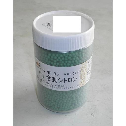 野菜種子 ニンジン「金美シトロン」 ペレット10,000粒（ヴィルモランみかど）【送料込み】 野菜 ...