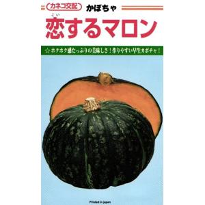 野菜種子 カボチャ「恋するマロン」 9粒(カネコ...の商品画像