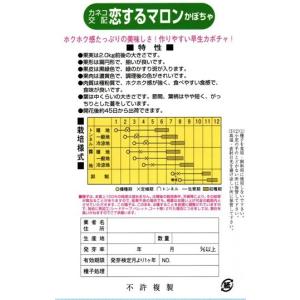 野菜種子 カボチャ「恋するマロン」 9粒(カネ...の詳細画像1