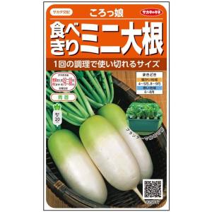 野菜種子 食べきりミニダイコン「ころっ娘」 2dl【送料込み】 大根 だいこん コロッコ ころっこ