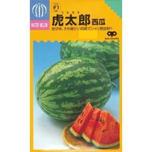野菜種子 小玉スイカ「虎太郎」 200粒（中原採種場）【送料込み】 こたろう コタロウ 小玉西瓜 こだますいか