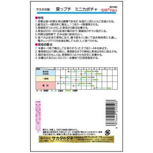 野菜種子 ミニカボチャ「栗っプチ」 8粒(サカ...の詳細画像1