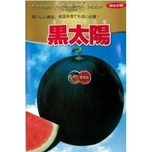 野菜種子 黒皮大玉スイカ「黒太陽」 12粒（神田育種農場）【送料込み】 くろたいよう クロタイヨウ ...