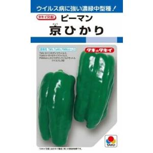 野菜種子 ピーマン「京ひかり」 27粒（タキイ種苗）【送料込み】 きょうひかり キョウヒカリ 耐病性 肥大性 家庭菜園 夏秋どり 中型 トンネル・露地栽培