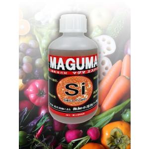 植物活力剤「マグマSi」 500ml×2本（3H・育土研究所／イノベックス）【送料込み】