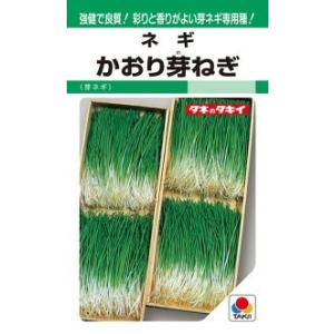 タキイ種苗 ネギ 葱 かおり芽ねぎ 1dl : 種苗・園芸ショップ 種もり