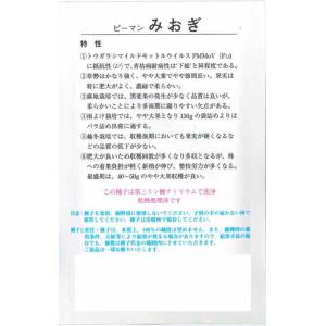 野菜種子 ピーマン「みおぎ(L3)」 100粒...の詳細画像1