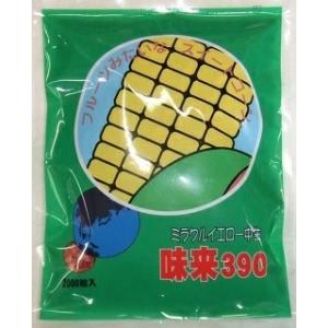 野菜種子 スーパースイートコーン「味来390」 2,000粒（サナテックシード）【送料込み】みらい390 とうもろこし トウモロコシ 家庭菜園 中生 春・夏まき