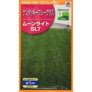 芝種子 ケンタッキーブルーグラス「ムーンライトSLT」 60ml（約1分）（タキイ種苗）【送料込み】 お庭の芝生用 しばふ シバフ 芝草 BLG539