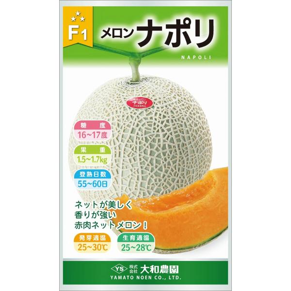野菜種子 赤肉ネットメロン「ナポリ」 7粒（大和農園）【送料込み】 なぽり 甜瓜 マクワウリ アール...