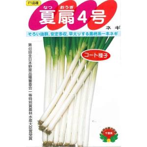 大河の轟き 5000粒(コート) 葱 ネギ ねぎ ダイヤ交配 【トキタ 種 たね
