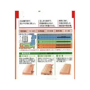 野菜種子 タマネギ「ネオアース」 2Lペレット...の詳細画像1