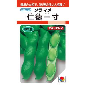 野菜種子 ソラマメ「仁徳一寸」 35ml(タキイ...の商品画像