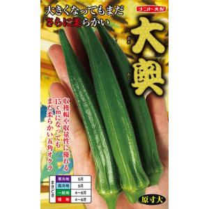 野菜種子 ビッグ五角オクラ「大奥」 6ml(ナン...の商品画像