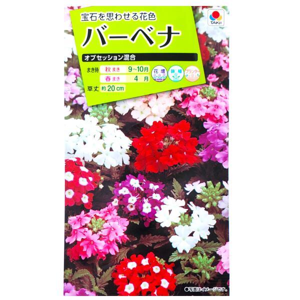 花種子 バーベナ「オブセッション混合」 50粒（タキイ種苗）【送料込み】 ヴァーベナ 美女桜 ビジョ...