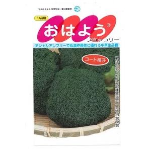 SK9-099 ブロッコリー種子 2000粒 【野菜種子】【サカタのタネ