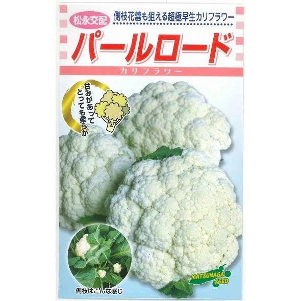 野菜種子 超極早生カリフラワー「パールロード」 80粒（松永種苗）【送料込み】
