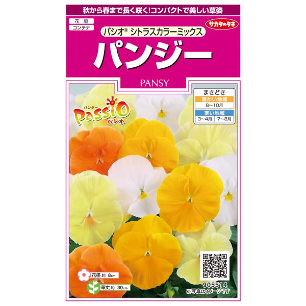 花種子 パンジー 「パシオ シトラスカラーミックス」 0.1ml（約35粒）（サカタのタネ）【送料込...