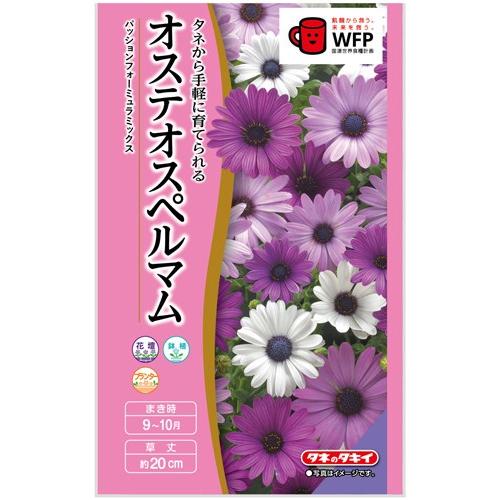 花種子 オステオスペルマム「パッションフォーミュラーミックス」 10粒（タキイ種苗）【送料込み】 ア...