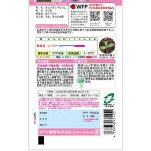 花種子 オステオスペルマム「パッションフォーミ...の詳細画像1