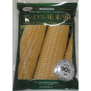 野菜種子 スーパースイートコーン「味来390」 2,000粒（サナテック