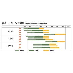 野菜種子 スイートコーン「プレミアム味来90」...の詳細画像2