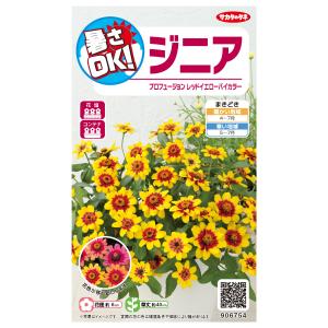 花種子 ジニア「プロフュージョンレッドイエロ−バイカラー」 0.2ml（サカタのタネ）【送料込み】 百日草 ひゃくにちそう ヒャクニチソウ