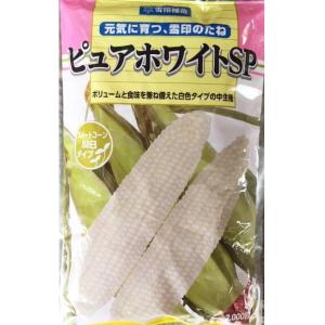 野菜種子 スイートコーン「ピュアホワイトSP」 2,000粒（雪印種苗）【送料込み】 ピュアホワイトエスピー とうもろこし トウモロコシ 中生 耐倒伏性 抑制栽培可