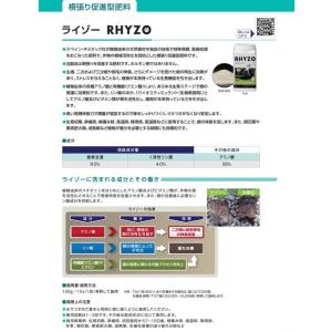 バイオスティミュラント資材「ライゾー」 24k...の詳細画像4