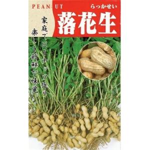 野菜種子「落花生」 1L（タキイ種苗）【送料込み】 らっかせい ラッカセイ ピーナッツ ナンキンマメ 地豆 唐人豆 異人豆 中生 多収 市場性 家庭菜園 中粒