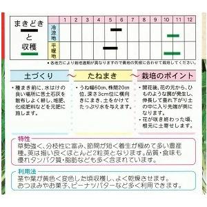 野菜種子「落花生」 1L(タキイ種苗)【送料込...の詳細画像1