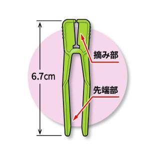 いちごランナー固定用資材「ラン太 5色混合」 ...の詳細画像4