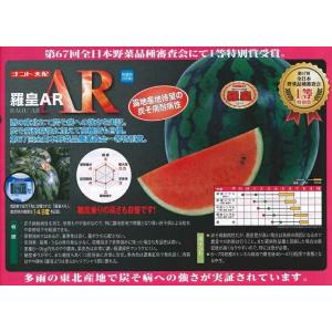野菜種子 赤肉大玉スイカ「羅皇AR」 7粒(ナ...の詳細画像2