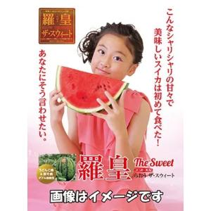 野菜種子 赤肉大玉スイカ「羅皇ザ・スウィート」 200粒（ナント種苗）【送料込み】 ラオウザスウィー...