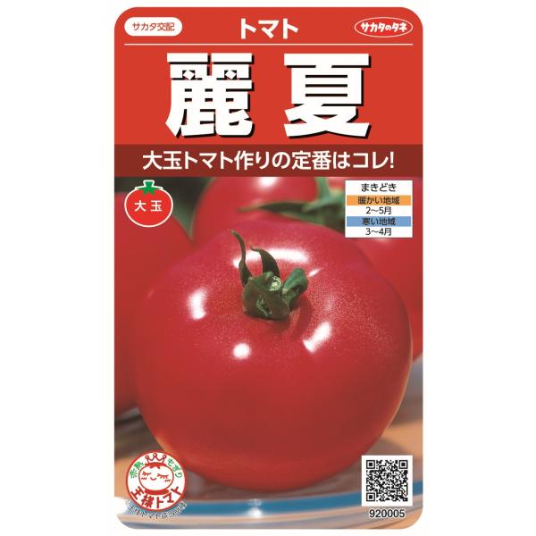 野菜種子 大玉トマト「麗夏」 21粒（サカタのタネ）【送料込み】 れいか レイカ 夏秋栽培向け 着果...
