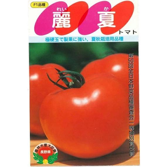 野菜種子 大玉トマト「麗夏」 100粒（サカタのタネ）【送料込み】 れいか レイカ 夏秋栽培向け 着...