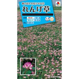 花種子 「れんげ草」 10ml（タキイ種苗）【送料込み】 蓮華草 レンゲソウ 紫雲英 ゲンゲ ノエンドウ ホウゾウバナ