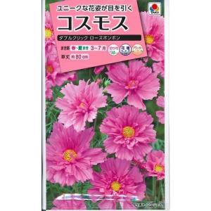 花種子 コスモス「ダブルクリックローズボンボン」 1.2ml（約25本分）（タキイ種苗）【送料込み】 花 はな 種 たね 秋桜 アキザクラ 大春車菊 オオハルシャギク